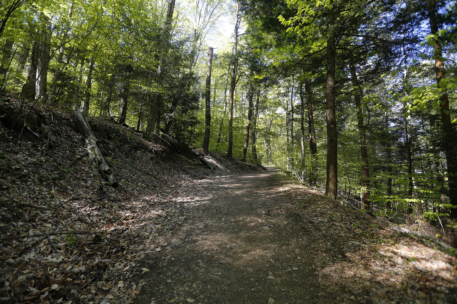 Uphill trail